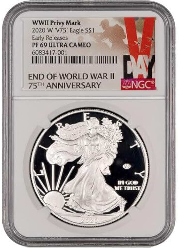 2020 W V75 Silver Eagle