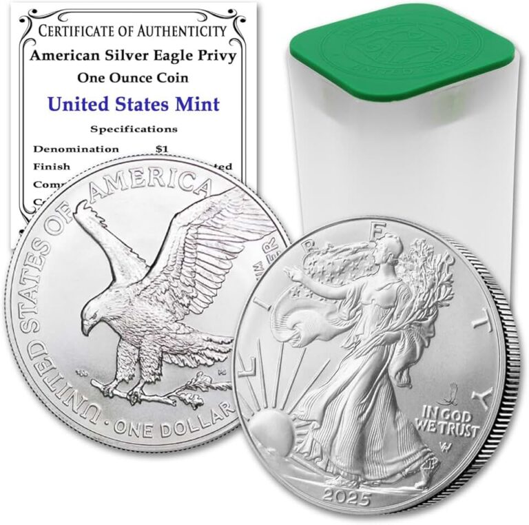 2025 Silver Eagle Coin Lot
