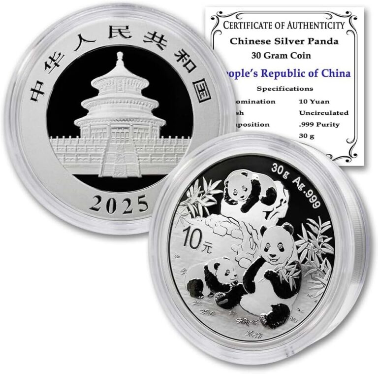 2025 Silver Panda Coin