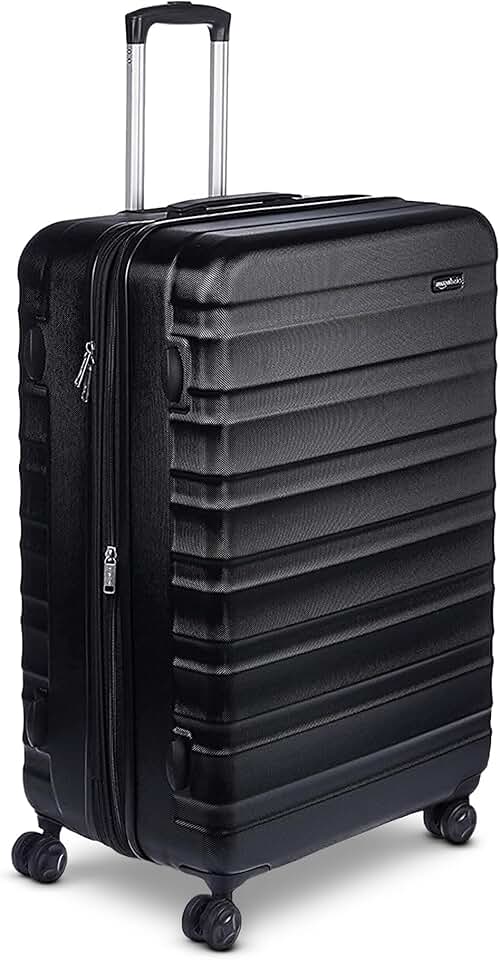 Amazon Basics Luggage