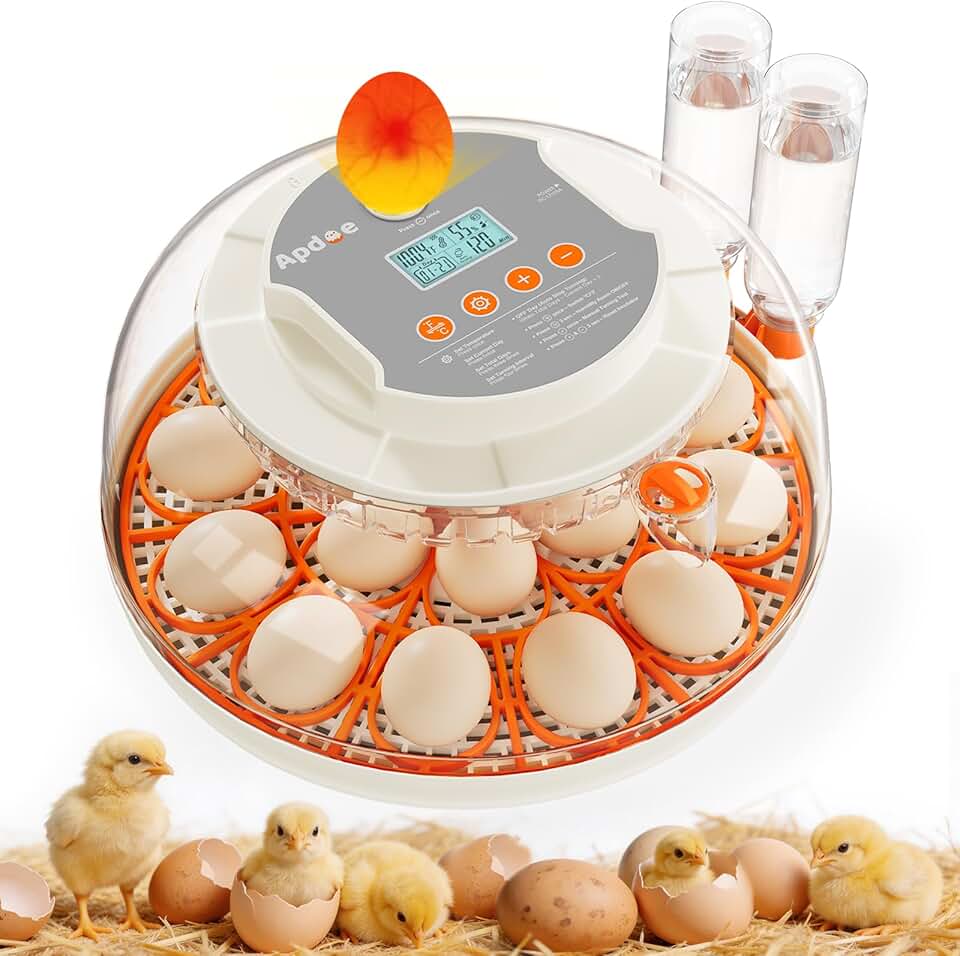 APDOE Egg Incubator