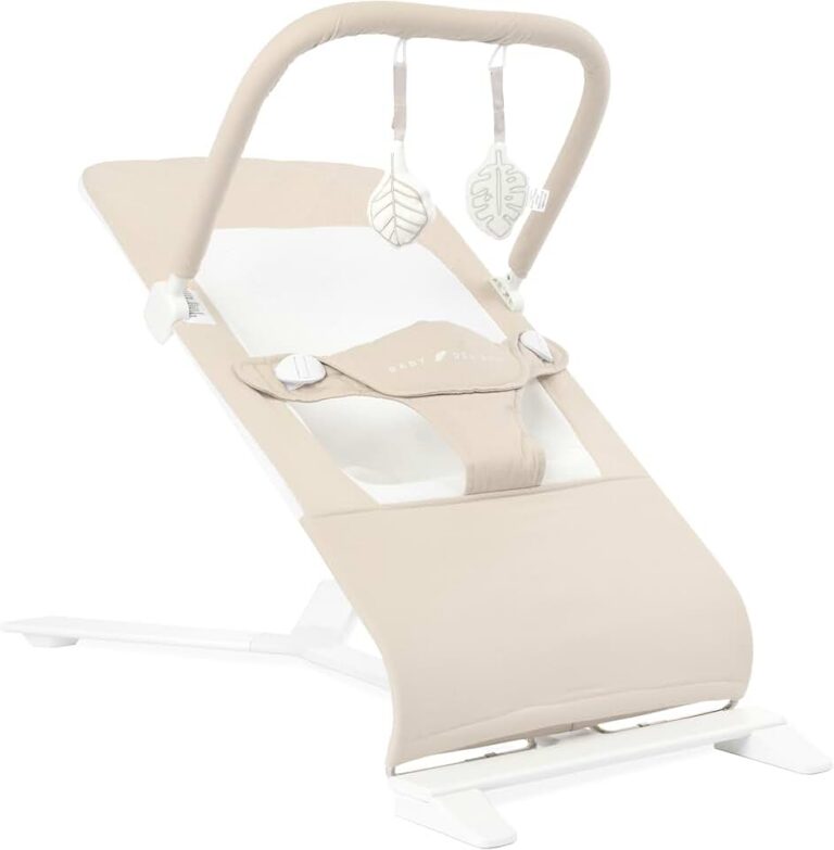 Baby Delight Alpine Bouncer