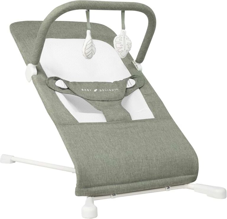 Baby Delight Highland Baby Bouncer