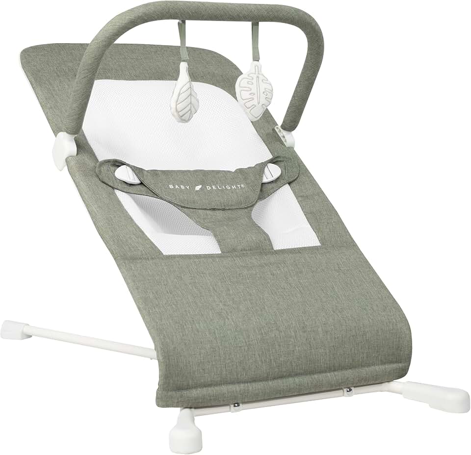 Baby Delight Highland Baby Bouncer