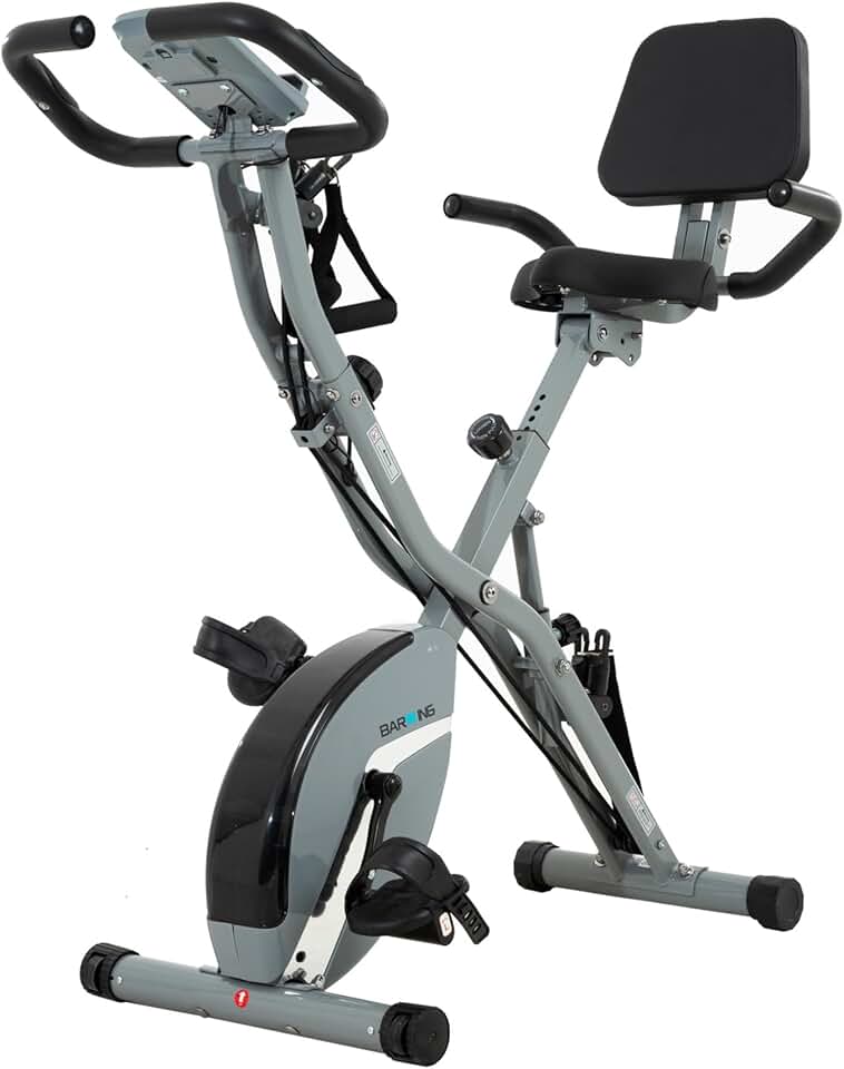 BARWING Stationary Bike