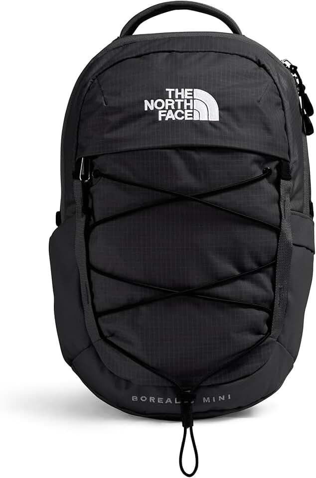 The North Face Borealis Mini Backpack