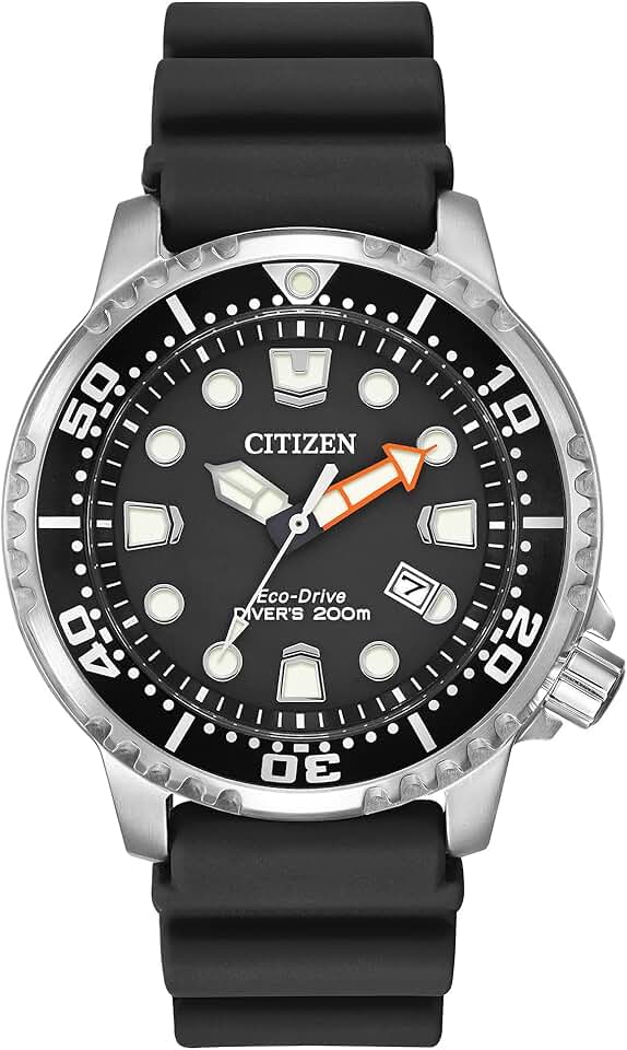 Citizen Promaster Dive Watch