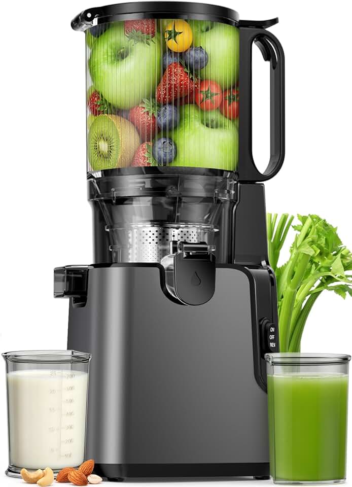Cold Press Juicer