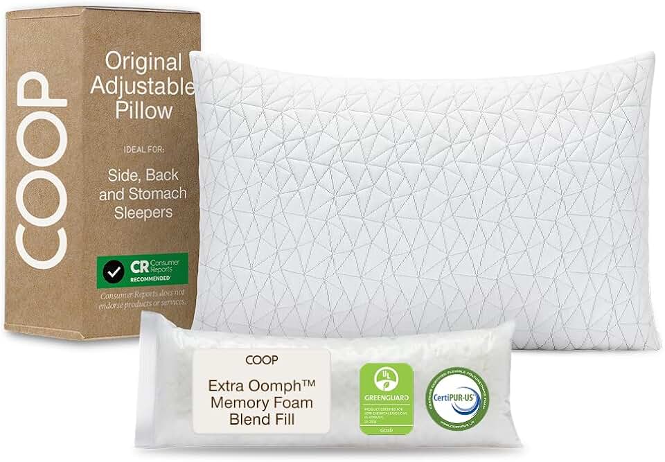 Coop Home Goods Pillow