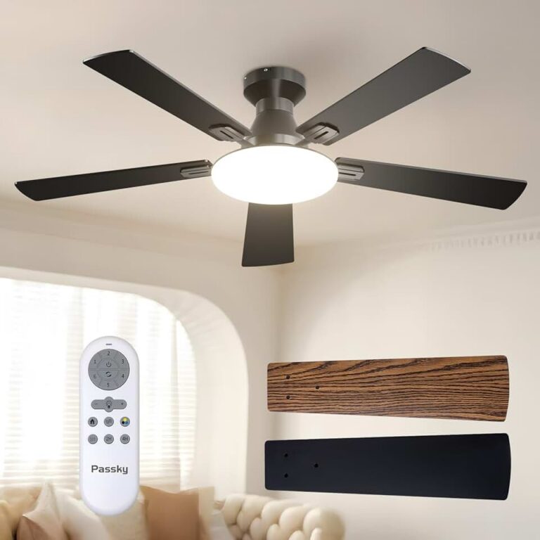 Passky Ceiling Fan