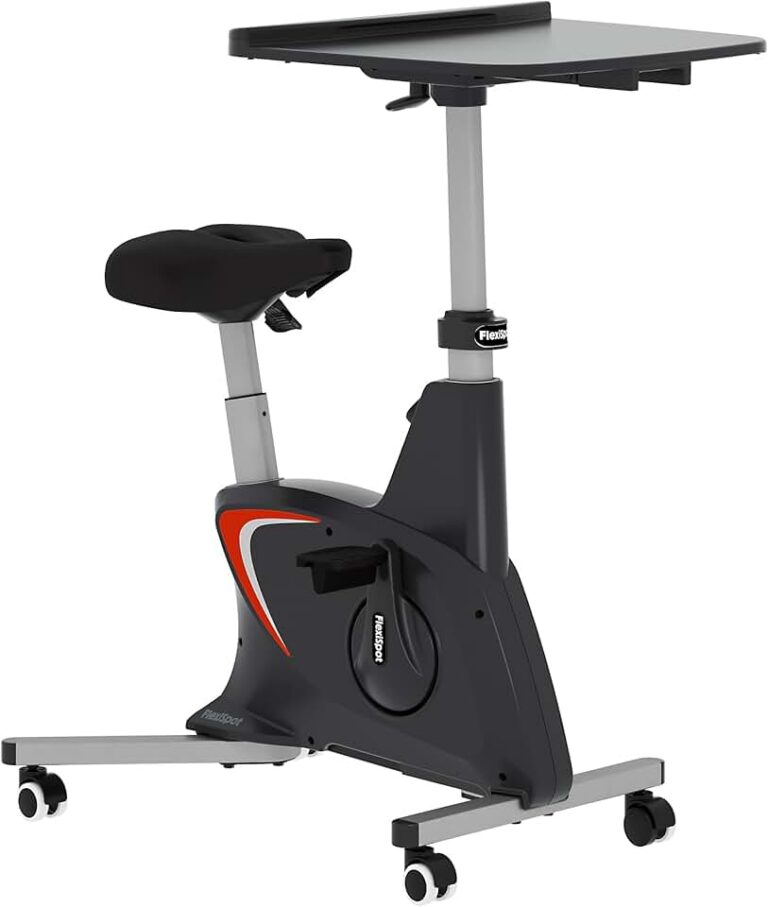 FLEXISPOT Exercise Bike