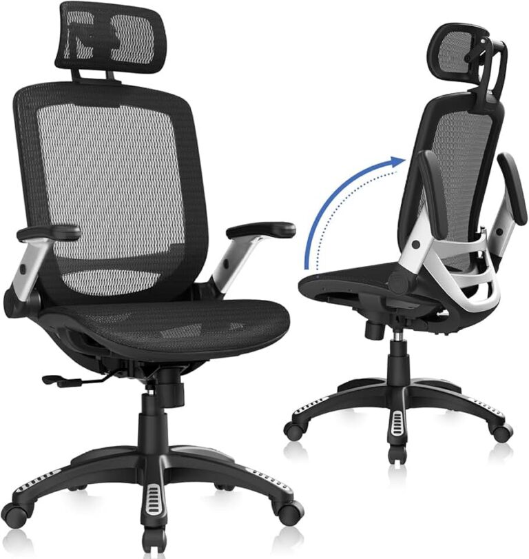 GABRYLLY Ergonomic Office Chair