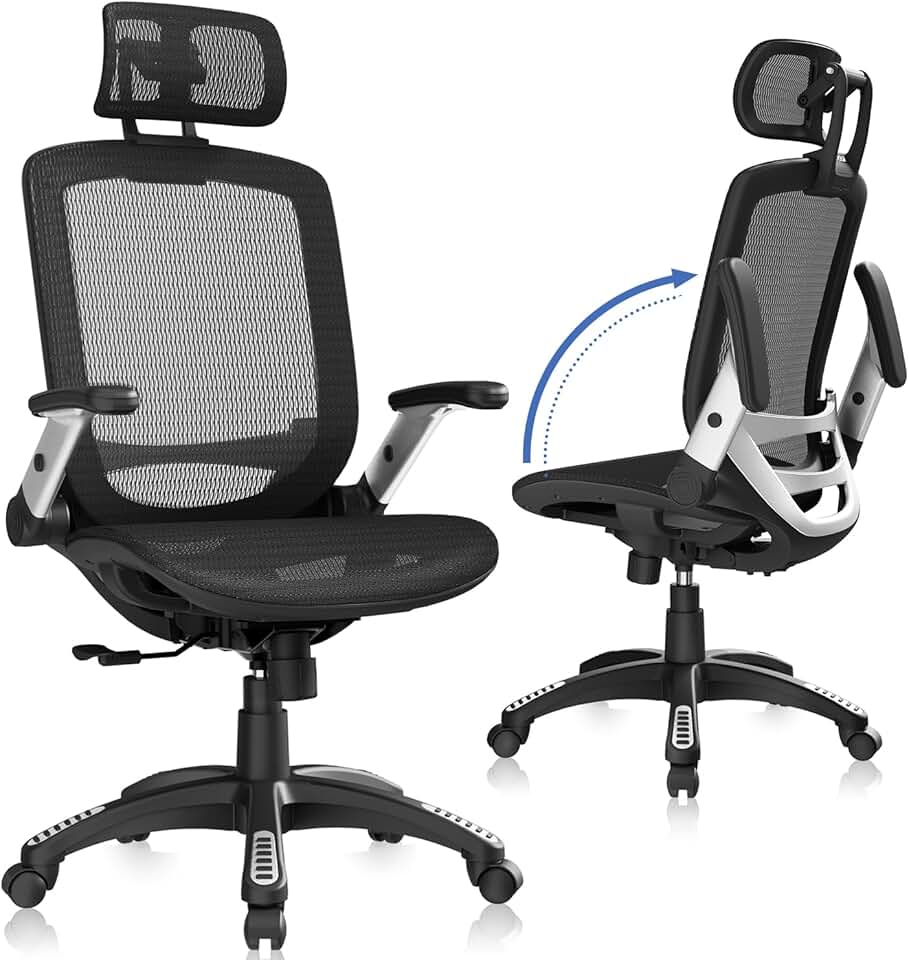 GABRYLLY Ergonomic Office Chair