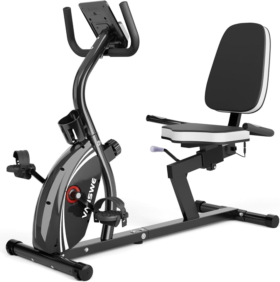 VANSWE Recumbent Bike