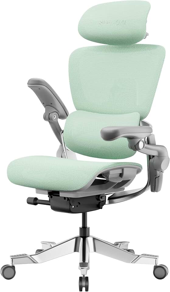 HINOMI H2 Pro Review: Is This Premium Ergonomic Office Chair Worth It for Your Home Office?