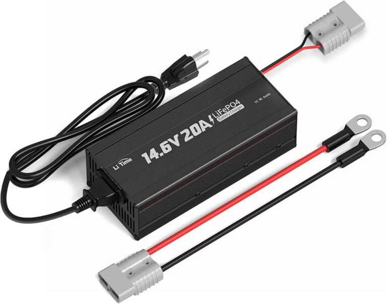 LiTime 12V Charger