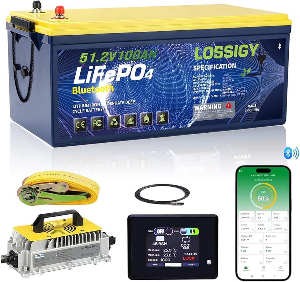 LOSSIGY 48V Lithium Battery
