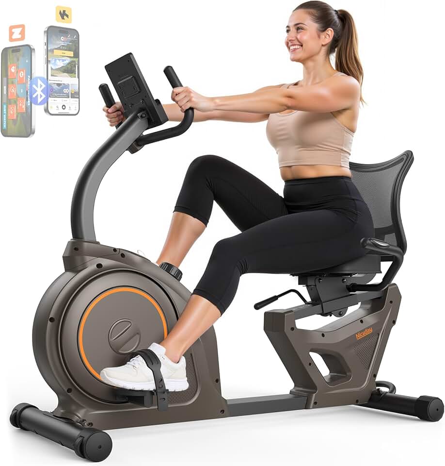 Niceday Recumbent Bike