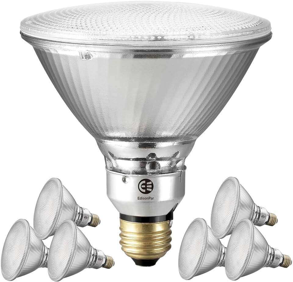 PAR38 Commercial LED Bulb