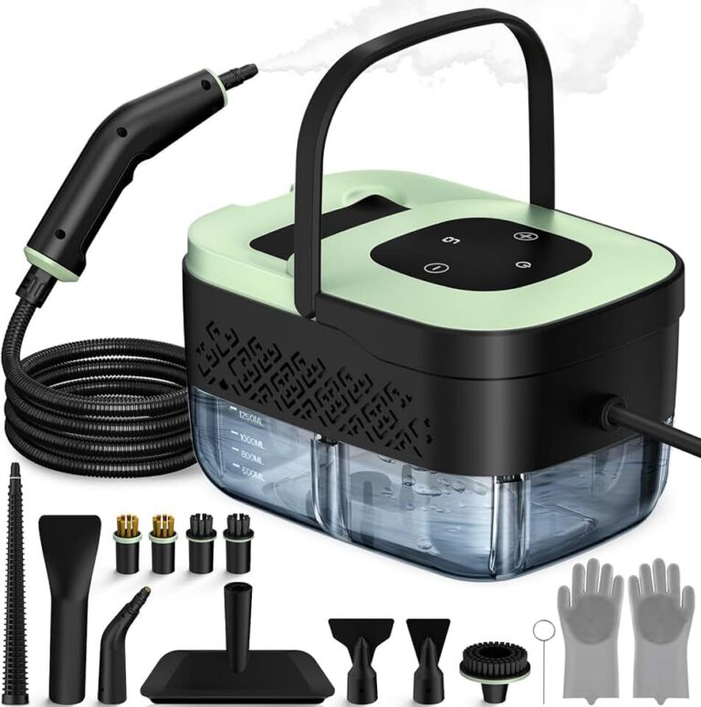 Portable Steam Cleaner