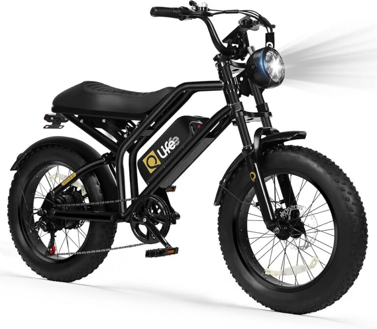 Qlife Electric Bike