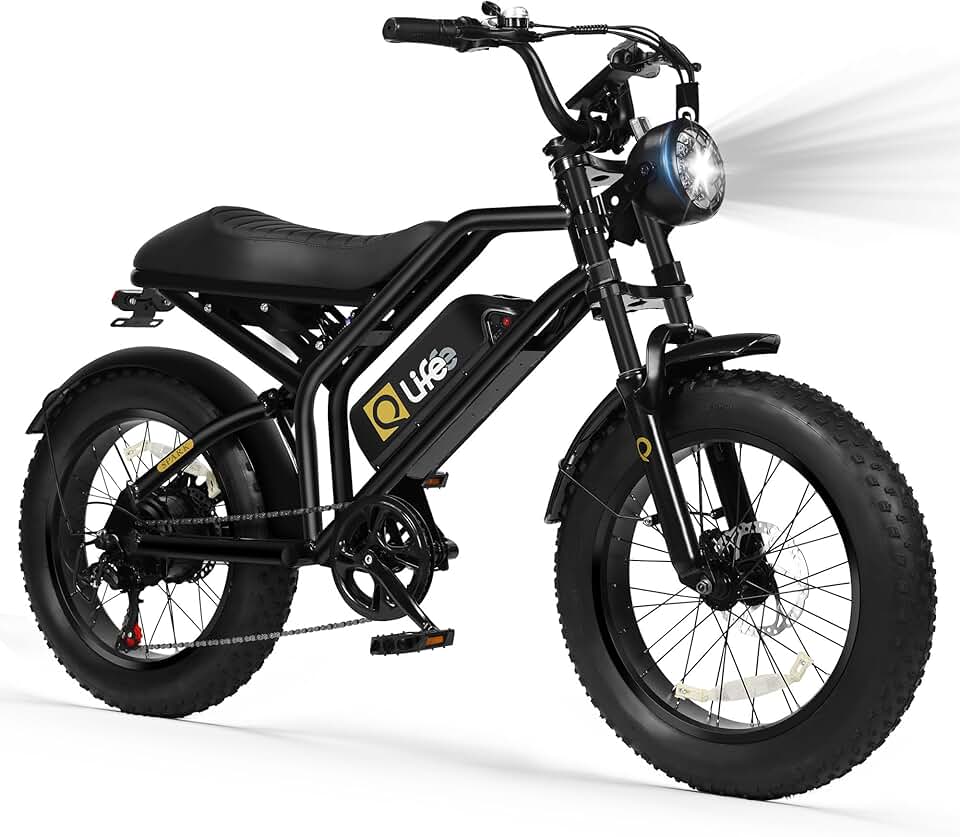 Qlife Electric Bike