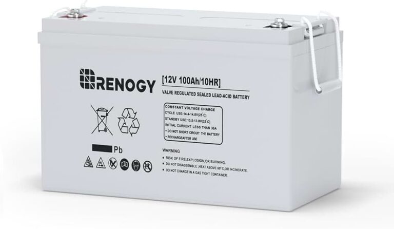 Renogy 100Ah AGM Battery
