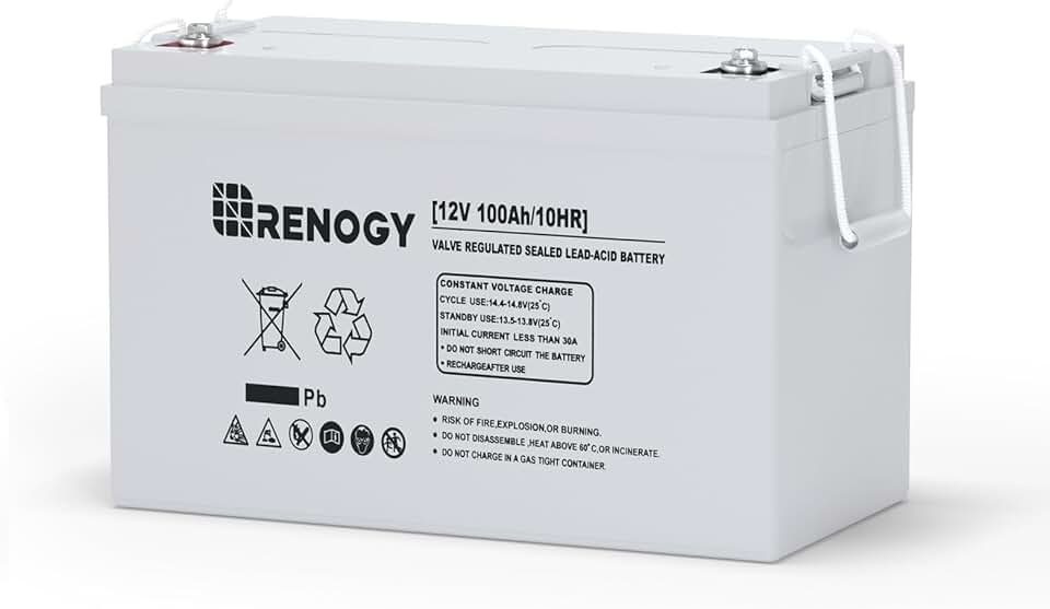 Renogy 100Ah AGM Battery