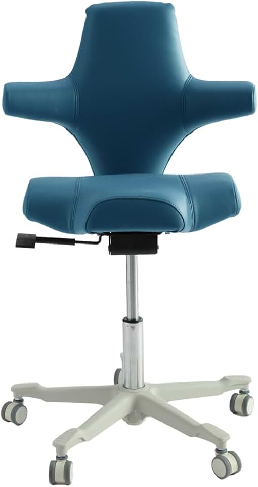 Review: The Ergonomic Desk Chair with Multi-Functional Sitting Posture – Is This Blue Executive Chair Your Next Home Office Upgrade?