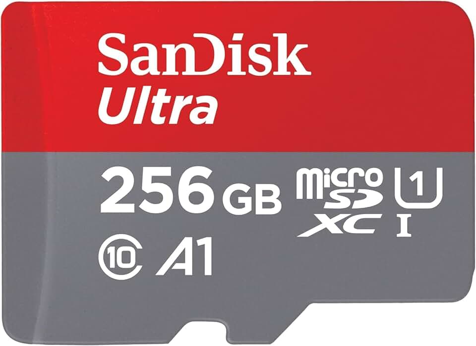 SanDisk 256GB MicroSD