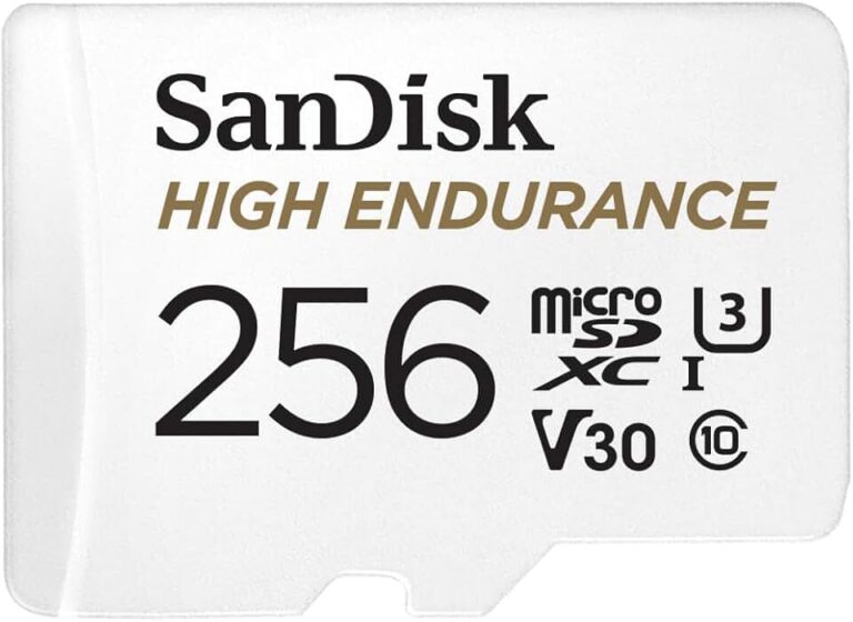 SANDISK High Endurance microSD