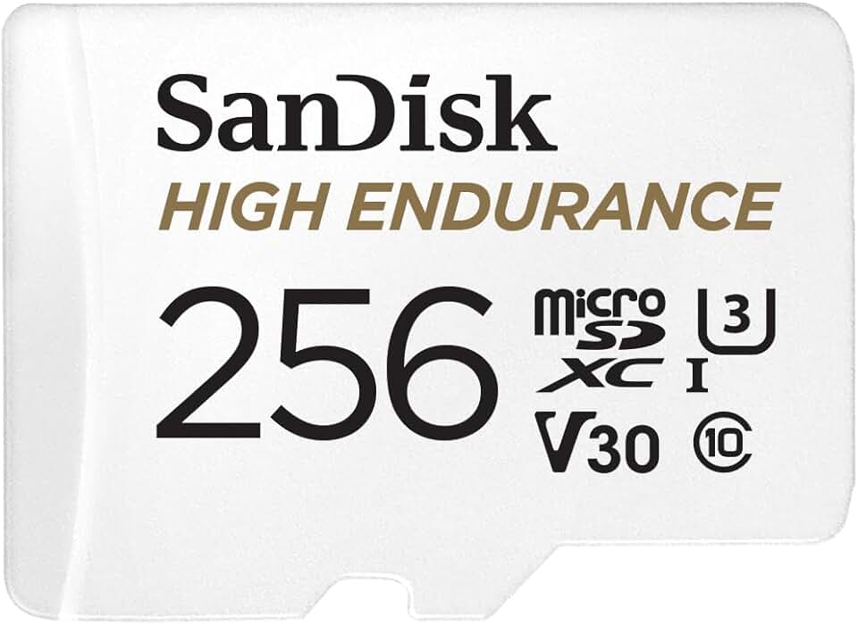 SANDISK High Endurance microSD