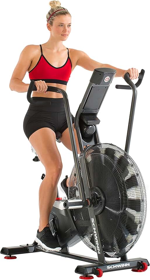 Schwinn Airdyne Bike