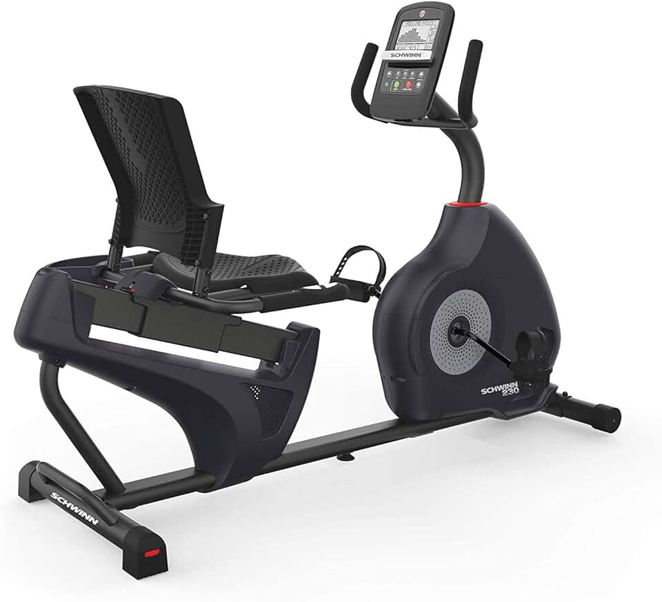 Schwinn Recumbent Bike