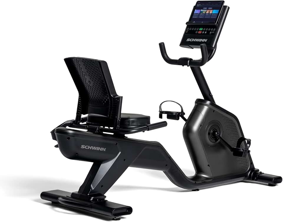 Schwinn Recumbent Bike