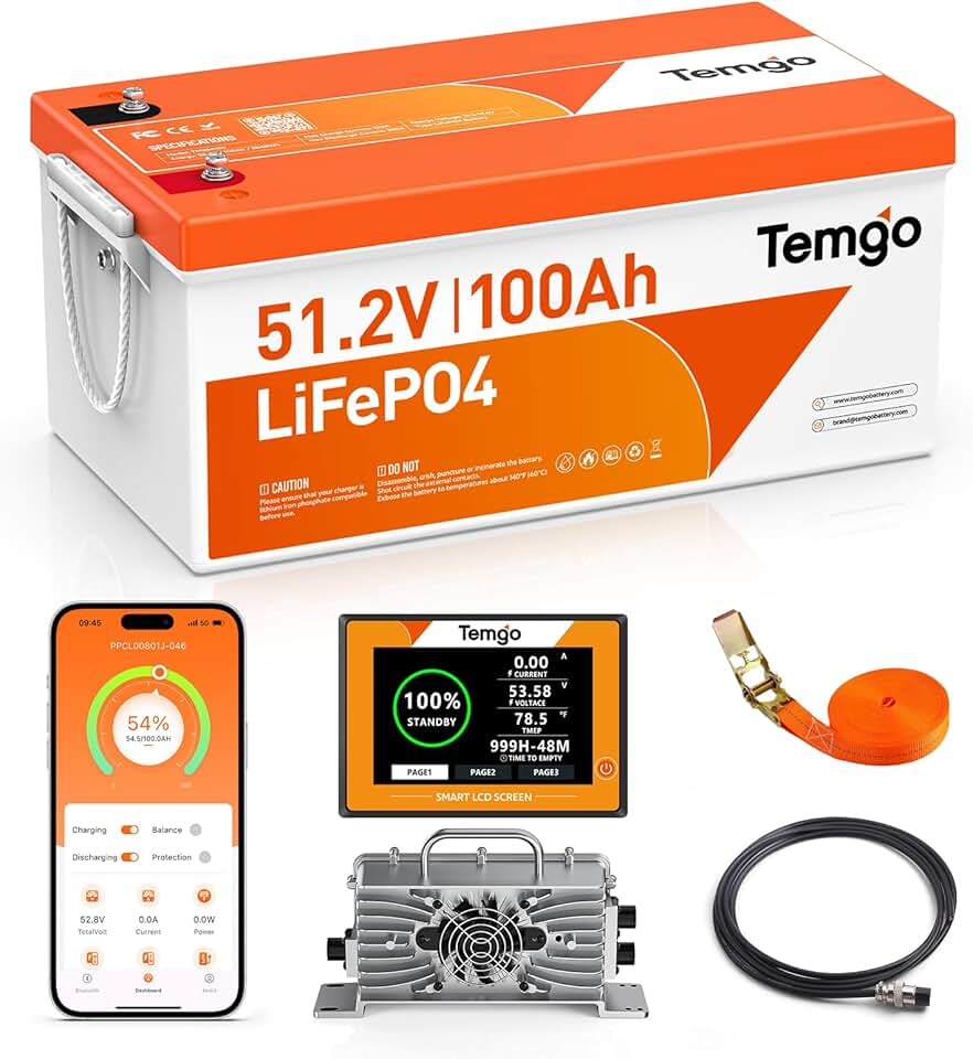 TEMGO 48V LiFePO4 Battery
