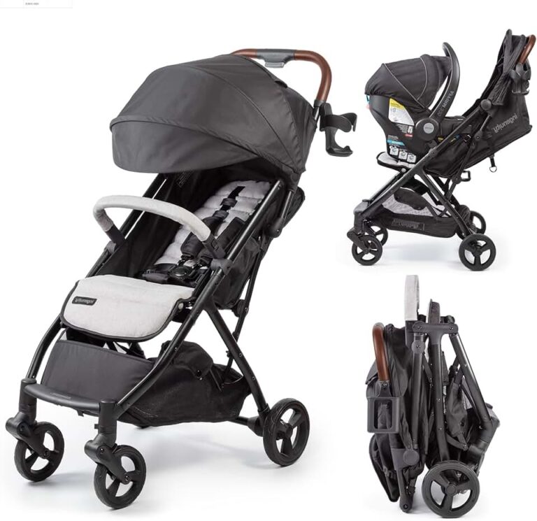 Ingenuity 3Dquickclose Stroller