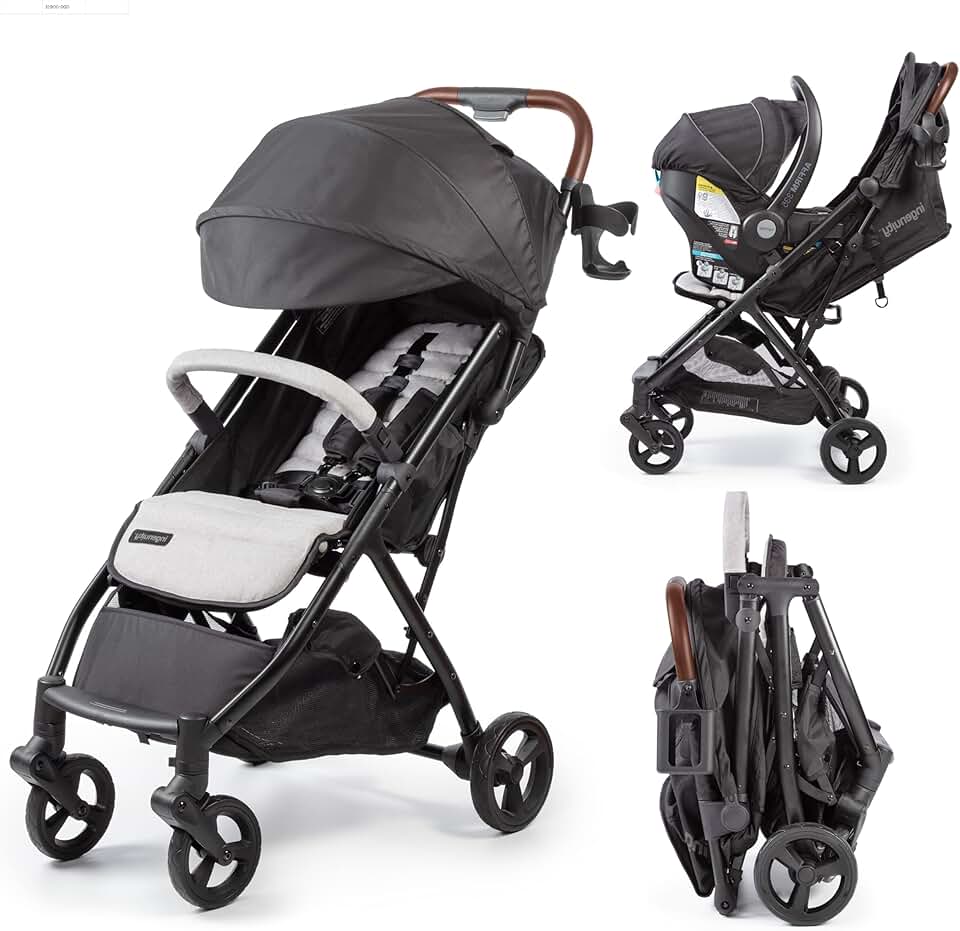 Ingenuity 3Dquickclose Stroller