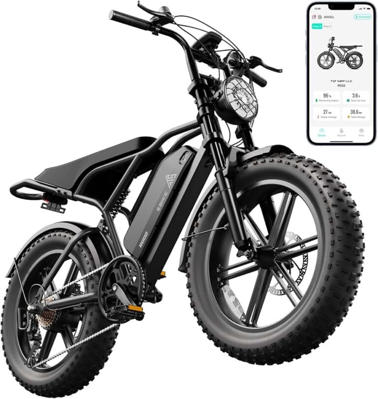 TST Electric Bike