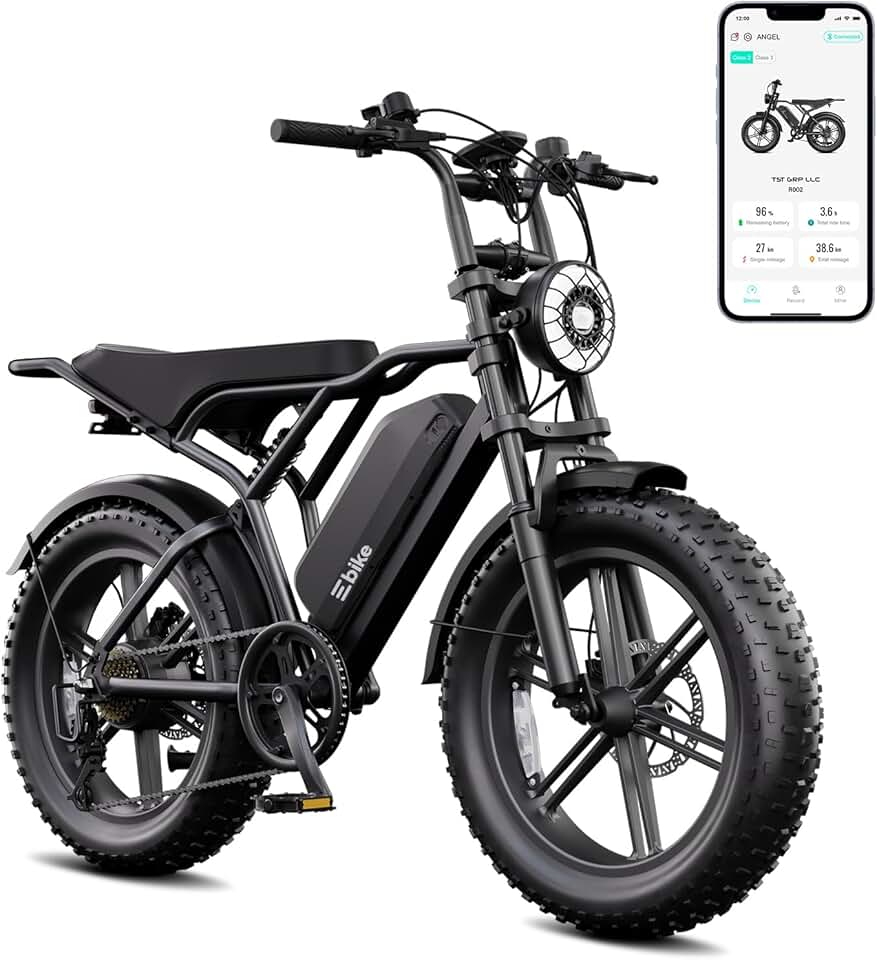 TST Electric Bike