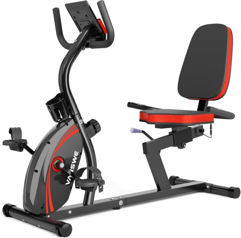 VANSWE Recumbent Bike