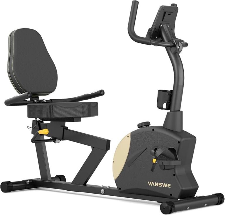 VANSWE Recumbent Bike