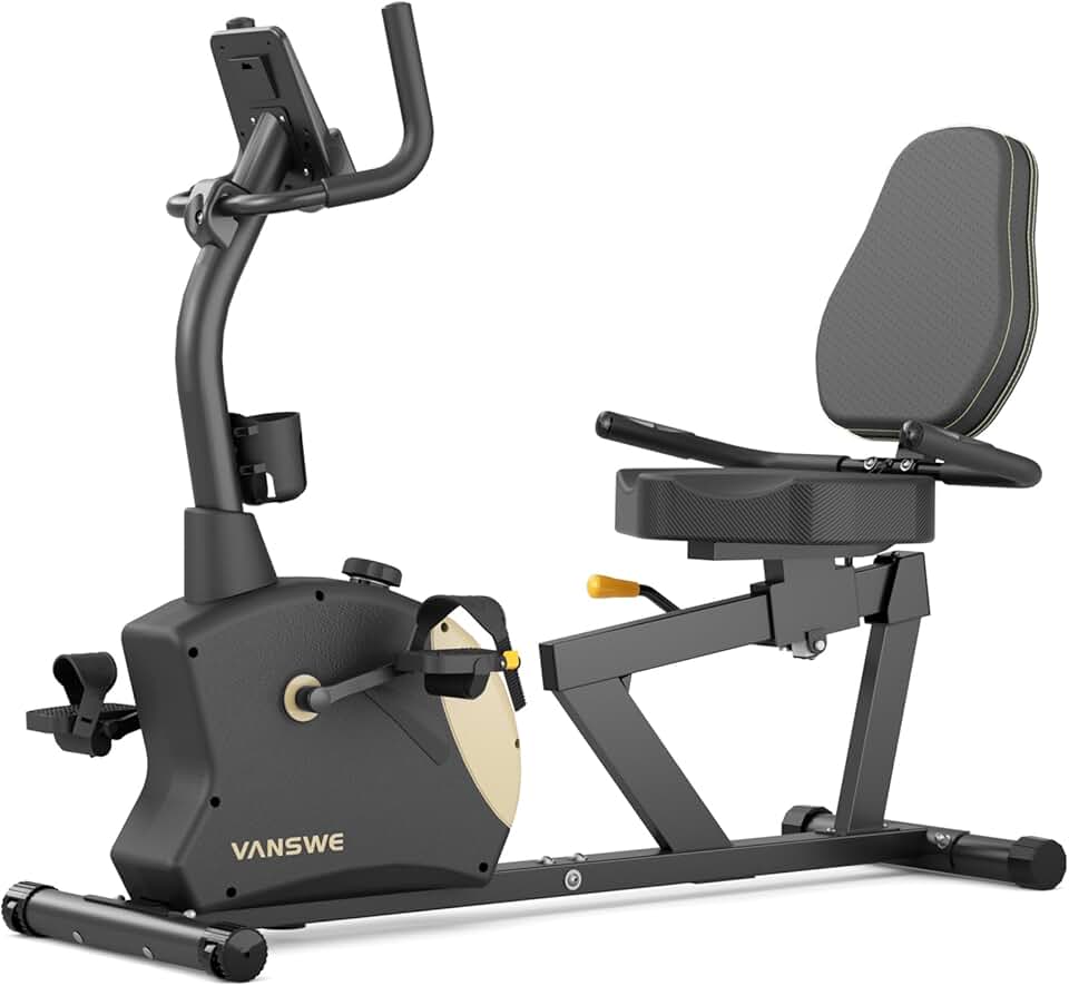 VANSWE Recumbent Exercise Bike