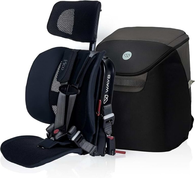 WAYB Pico Car Seat