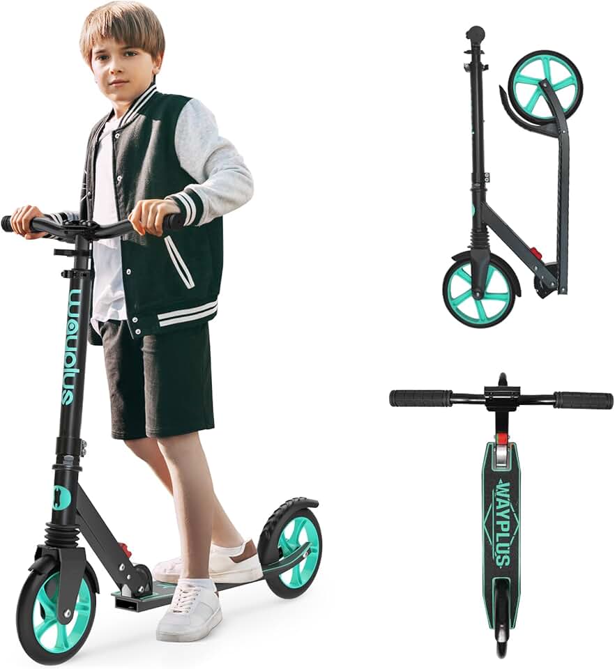 WAYPLUS KS1 Kick Scooter