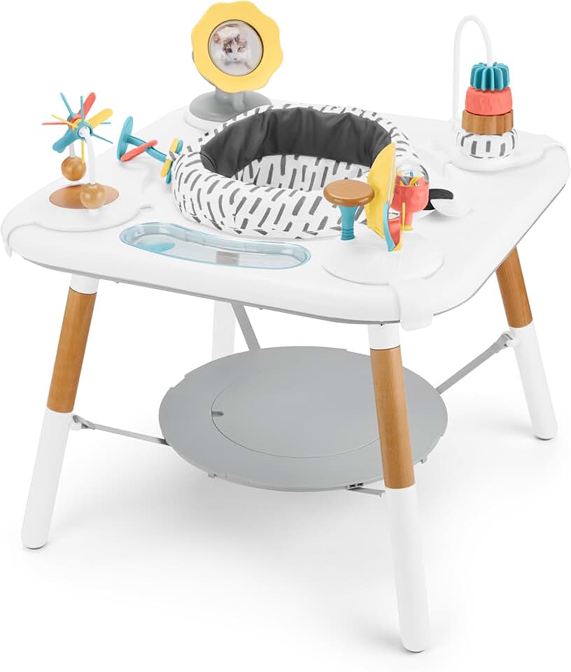 Skip Hop Discoverosity Activity Center