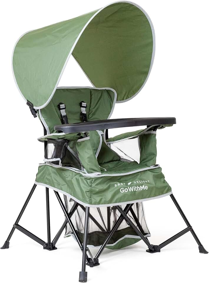Baby Delight Portable Chair