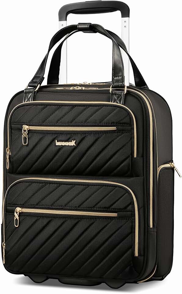 LUGGEX Underseat Luggage