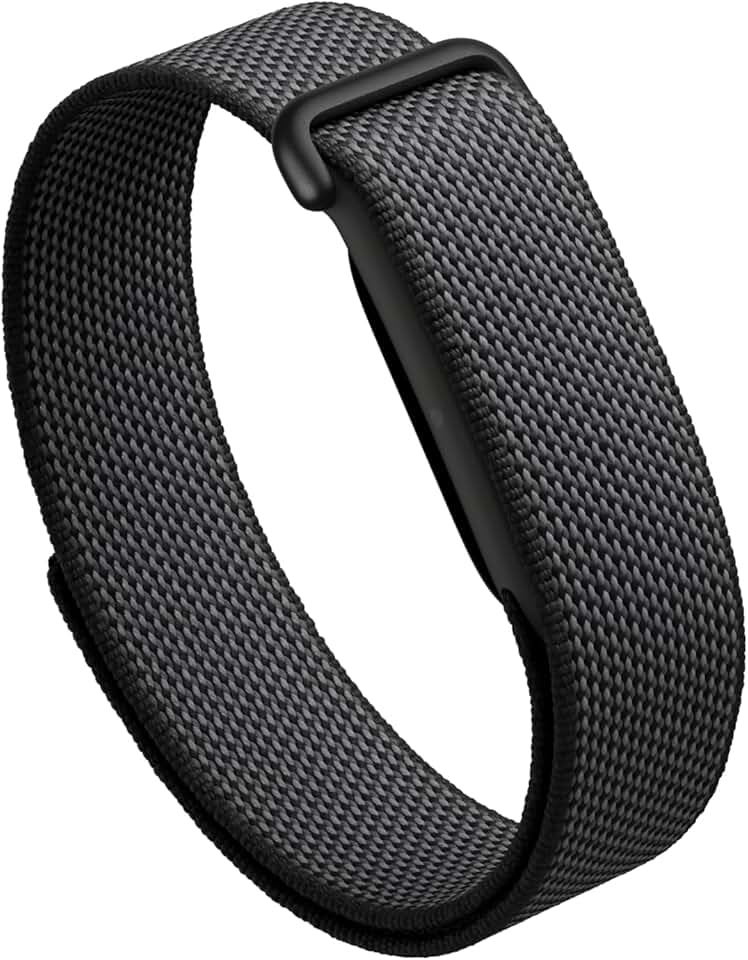 Google Fitbit Air