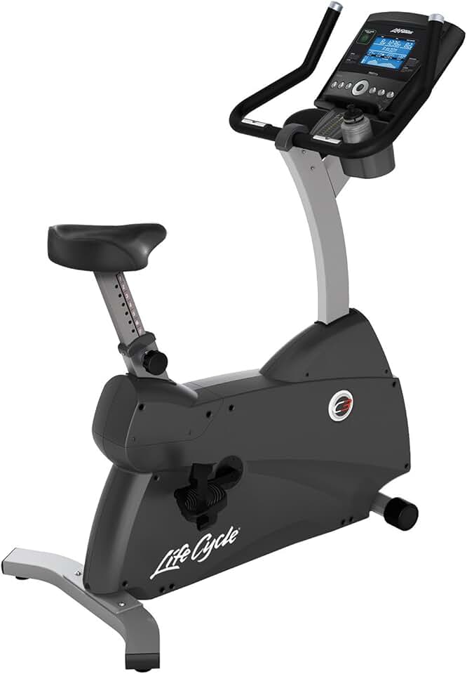 Life Fitness Upright Lifecycle